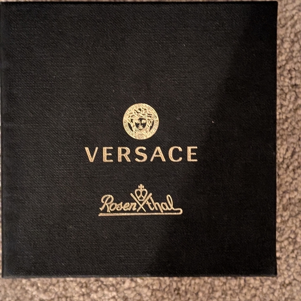 Versace And Rosenthal Collab For Caviar Serving Stainless Steel Mini Bowl